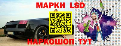 шишки Лесосибирск